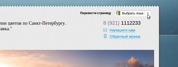 Переводчик на сайте на платформе Nethouse