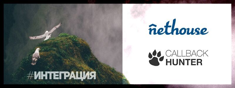 Интеграция Nethouse и CallbackHunter
