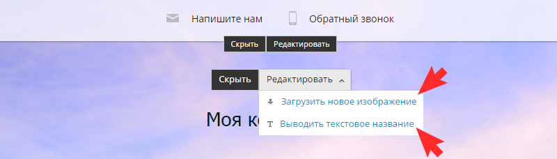 Выберите желаемый вид логотипа