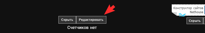 В шаблоне "Профессиональный" блок статистики находится в самом низу сайта